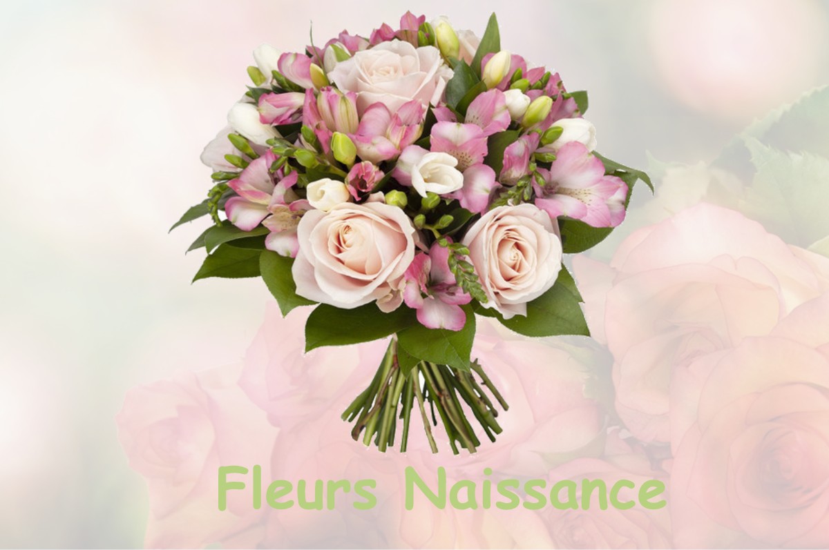 fleurs naissance ROVON