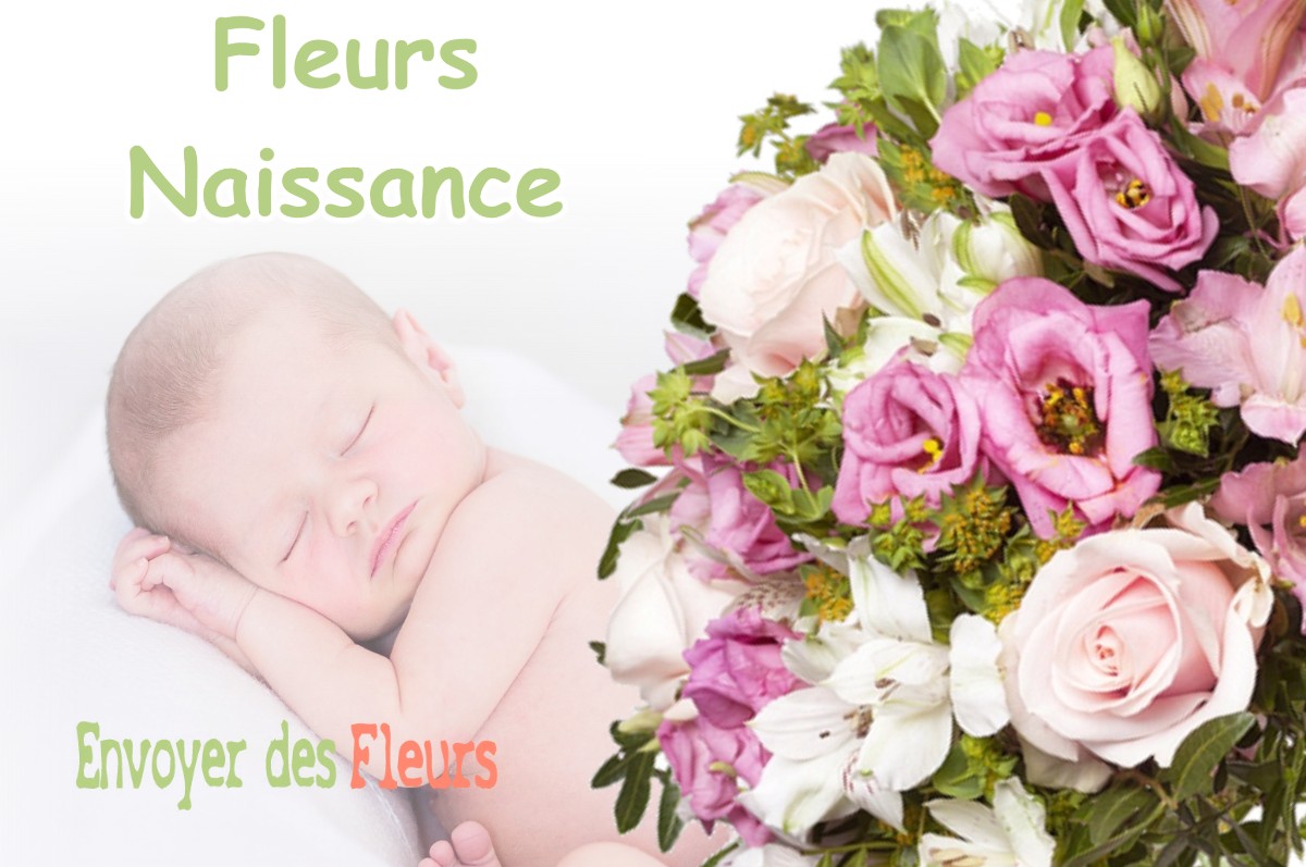 lIVRAISON FLEURS NAISSANCE à ROVON